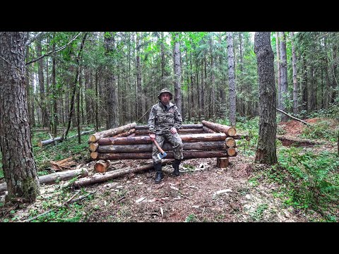 Видео: СТРОЮ ДОМ 3х3 ПОД ЗЕМЛЕЙ. РУБЛЮ СРУБ. «ГОСТИ» ХОДЯТ РЯДОМ