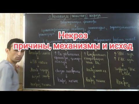 Видео: Патофизиология. Некроз. Причины, патогенез, морфогенез и  исход некроза. #30