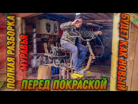 Видео: Я решился на это!!!Разборка муравья!
