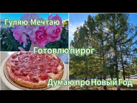 Видео: Готовлю Тирольский пирог. Думаю про Новый Год. Гуляем по набережной Тольятти и в парке Победы.