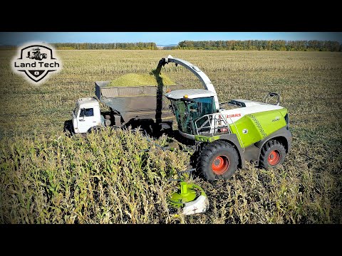 Видео: Комбайн CLAAS Jaguar 950 сам загружает кузов! AUTO FILL в действии! Комбайны Jaguar уборка кукурузы!