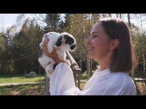 Видео: Топовая ОРАНЖЕРЕЯ для свадьбы! Обзор новой площадки для красивой свадьбы