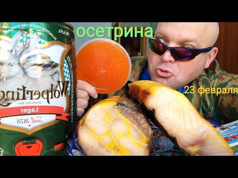 Видео: МУКБАНГ ОСЕТРИНА холодного и горячего копчения/Обжор в День защитника Отечества