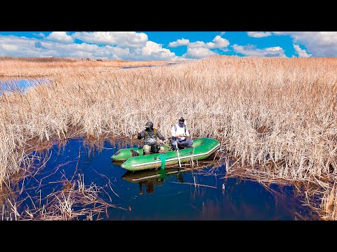 Видео: ДУШЕВНАЯ РЫБАЛКА на заливе КАПЧАГАЯ, половили карася в камышах на поплавок, апрель 2025