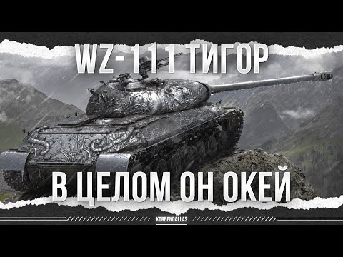 Видео: В ЦЕЛОМ ВЕРИНАЙС ГУДНАЙС - WZ-111 Alpine Tiger