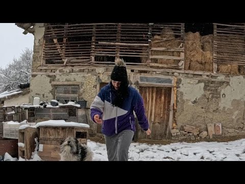 Видео: Защо се преместихме да живеем на село,зимна приказка и селски радости.