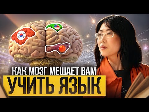 Видео: Как мозг мешает вам учить язык: секреты нейробиологии для изучения языков