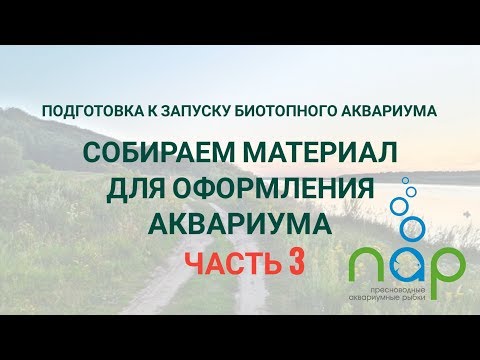 Видео: Биотопный аквариум-материал для оформления (берег Оки)