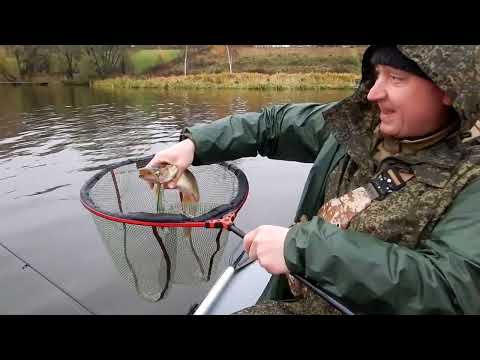 Видео: Семейный отдых на Волге октябрь 2025 года. База отдыха "Место встречи - Волга"