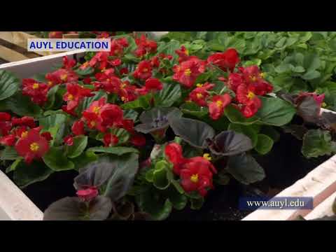 Видео: 4-САБАҚ 3-БӨЛІМ. БИОГУМУСТЫ ГҮЛДЕРГЕ ҚАЛАЙ ҚОЛДАНУ ҚАЖЕТ?