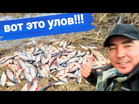 Видео: Здесь тонны рыбы! МЫ НЕ БРАКОНЬЕРЫ! Настоящая рыбалка крайнего севера