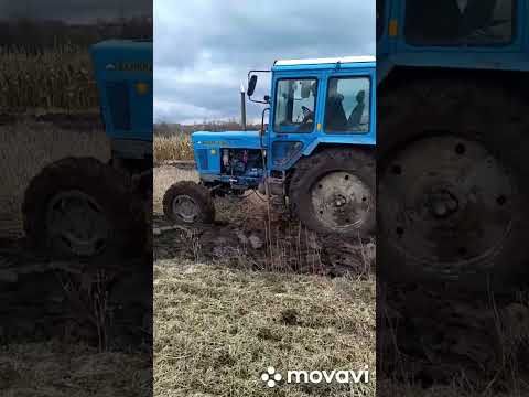 Видео: передній міс Т-40АМ на МТЗ-80 випробування