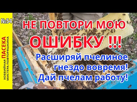 Видео: Пчелиные гнезда: Главная ошибка весной! Не делай как я! Расширяй пчелиные гнезда вовремя.