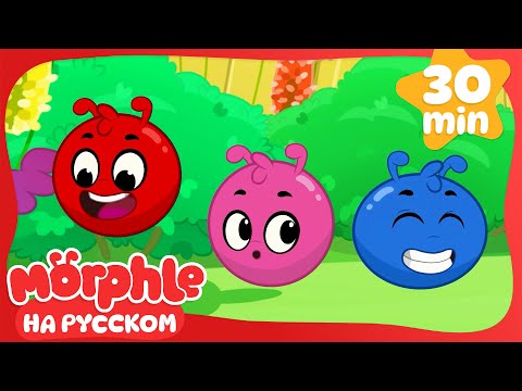 Видео: Семья Морфл 2 | 30 минут | Мой волшебный питомец Морфл — Мультики для детей