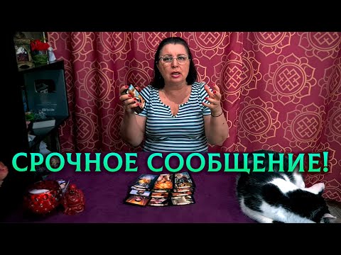 Видео: ЕГО ЛОМАЕТ И КОЛБАСИТ! Какое сообщение он хочет срочно отправить вам?