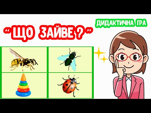 Видео: " ЩО ЗАЙВЕ?" дидактична гра