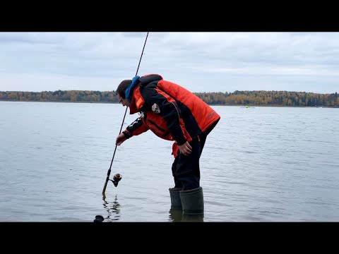 Видео: ИСТРИНСКОЕ водохранилище - что можно поймать? РЕЗУЛЬТАТЫ 2 розыгрыша!