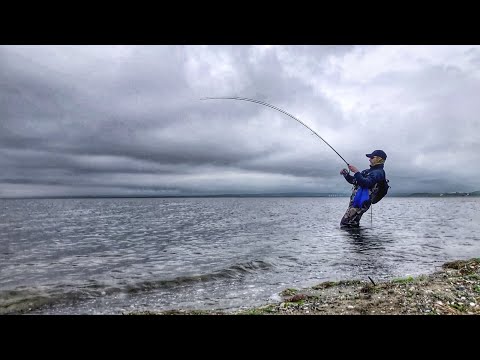 Видео: Ловля Саргана Владивосток 2024