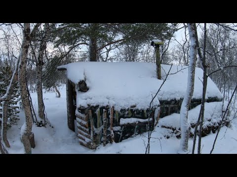 Видео: Один  ночью в избушке! Первый лед ! Готовим гречку с грибами! колка дров! зимний лес! Лось прошел !
