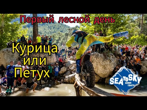 Видео: Sea to sky 2025 первый лесной день, Роковой мост!