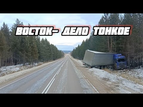 Видео: ФУРЫ В КЮВЕТАХ