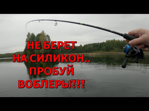Видео: Этот Воблер может!!! Твичинг в конце сентября. Рыбалка на спиннинг в Подмосковье.