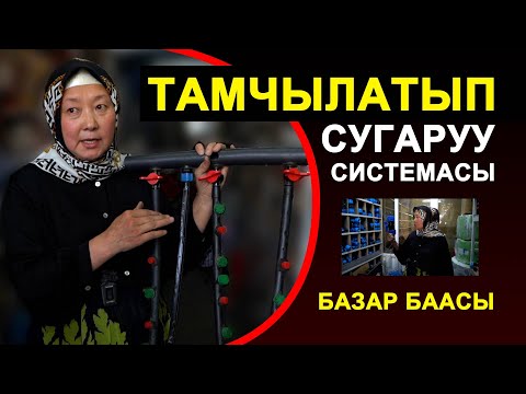 Видео: Тамчылатып сугаруу боюнча маалымат издеп жүрсөңөр. Ушул видео жардам. Капельное орошение Кыргызстан