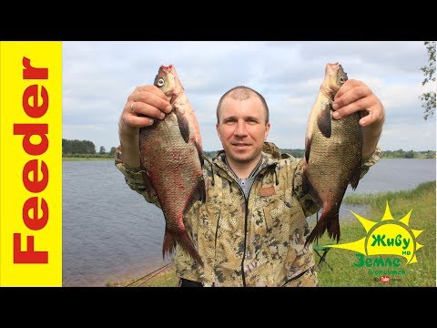 Видео: В чем отличие фидера от донки. (Фидер для начинающих с 0)