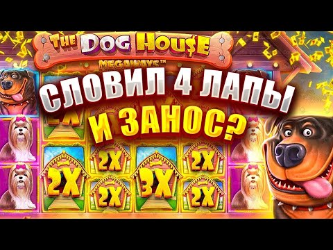 Видео: СЛОВИЛ 4 ЛАПЫ В DOG HOUSE MEGAWAYS | ЗАНОС В СОБАКАХ ПО ХОРОШЕЙ СТАВКЕ!!!