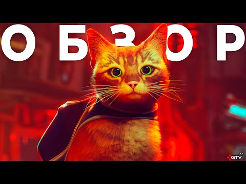 Видео: Обзор Stray - ПРЕЖДЕ ЧЕМ КУПИТЬ