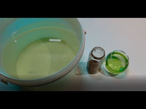 Видео: 1 день Артемия проект(выращивание). Artemia salina