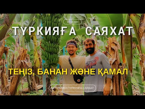 Видео: БАНАН жылыжайына ТЕГІН кіріп кеттік | Турцияға саяхат