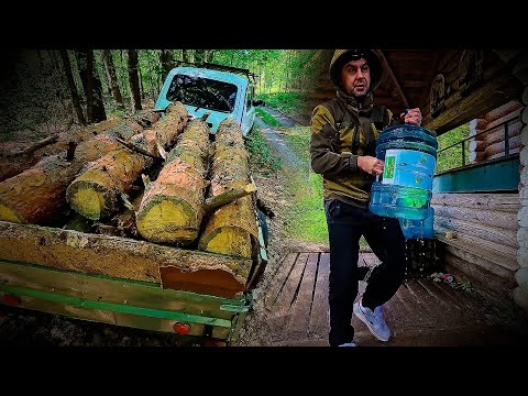 Видео: МОРДОВСКИЕ БУДНИ / ЗАГОТОВИЛ ДРОВ И ВЕНИКОВ ДЛЯ БАНИ