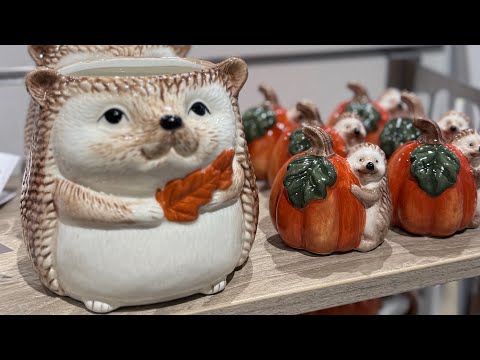 Видео: 💚ФИКС ПРАЙС 💚НОГИ В РУКИ И БЕГОМ 🤩ОСЕННИЕ НОВИНКИ В Kuchenland 🎃 Обзор Фикс Прайс, Хофф и Кюхен