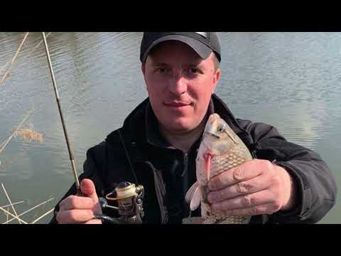 Видео: Весенняя рыбалка на мормышку. Flagman Areata 552XUL 1.68м 0.3-2.5г