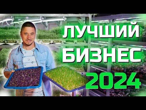 Видео: Лучший Бизнес 2024 Стартап