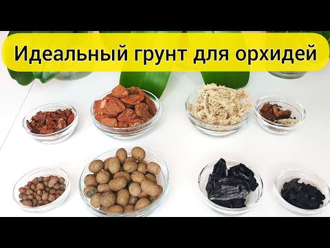 Видео: ГРУНТ для орхидеи || КОРА, КЕРАМЗИТ, мох, уголь для орхидей || Во что ЛУЧШЕ сажать орхидеи