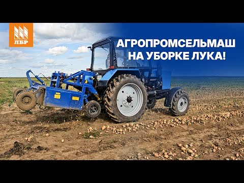 Видео: Уборка лука в Амурской области. Ботвоудалитель и Копалка. Часть 1