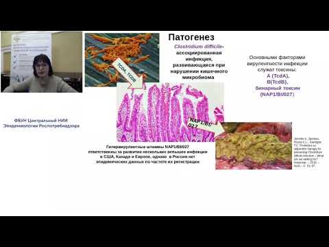 Видео: Современные аспекты атибиотикоасоциированного колита у взрослых