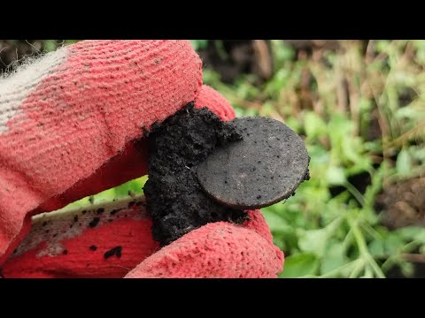 Видео: Я В ШОКЕ ОТ ТАКИХ НАХОДОК.... УРОЧИЩЕ ВОСЕМНАХА