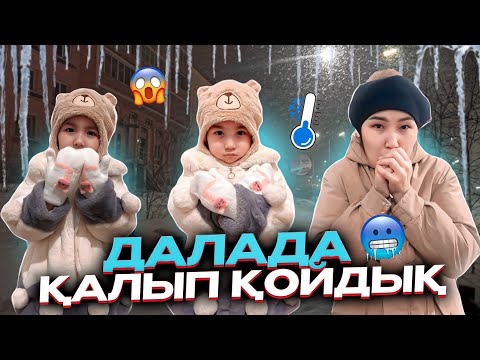 Видео: СУЫҚ ДАЛАДА ҚАЛЫП ҚОЙДЫҚ🥶😱| МАШИНАДА ҚОНАМЫЗБА ЕНДІ?❄️🥶🚘