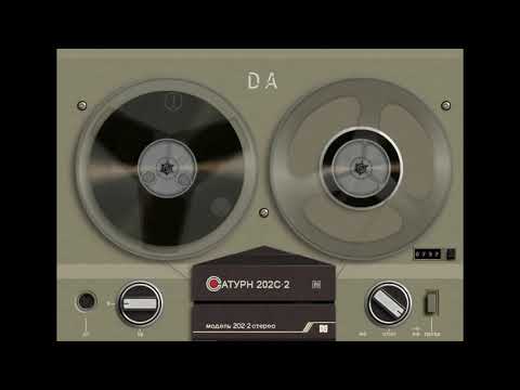 Видео: Поздняков Владимир   Смысл жизни – действовать DAlife