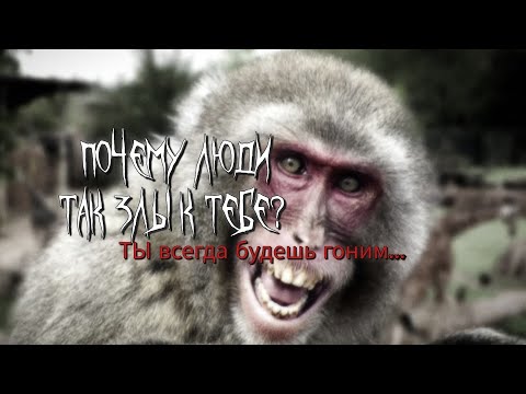 Видео: Почему люди завистливые и злые.
