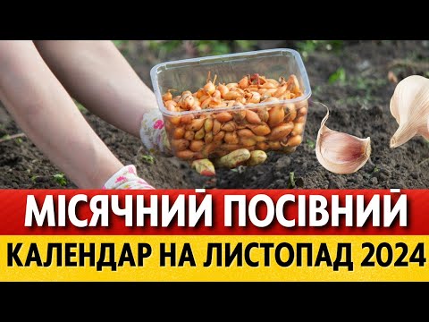 Видео: ЩО та КОЛИ робити на городі у листопаді 2024 за місячним календарем Місячний календар городника