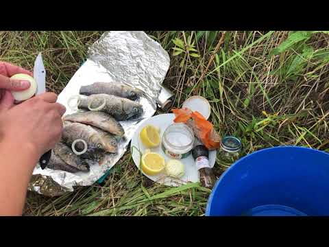 Видео: Мой рецепт рыбы на углях | Карась в фольге