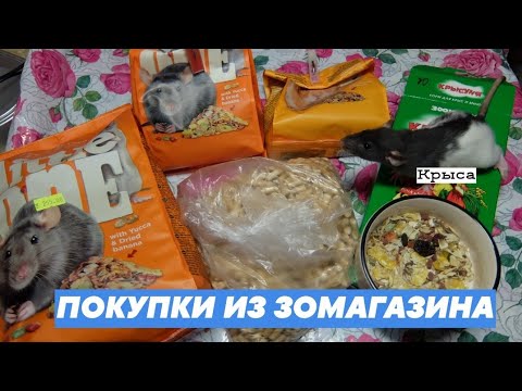 Видео: ПОКУПКИ ИЗ ЗООМАГАЗИНА 2019 | DASHA ALEKSEEVA