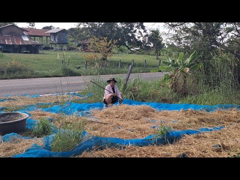 Видео: Конец тайской мечте. Всех домой!!!
