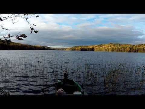 Видео: ТАЙГА/ЛЕОНТИЧ/РЫБАЛКА/КОРДОН/ЧАСТЬ ВТОРАЯ.