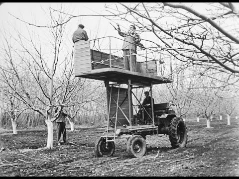 Видео: Машины по возделыванию и уходу за садами, 1972