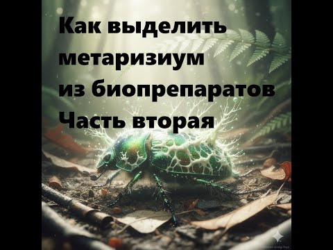 Видео: Выделение метаризиума из препаратов, если конечно он там есть. Часть 2